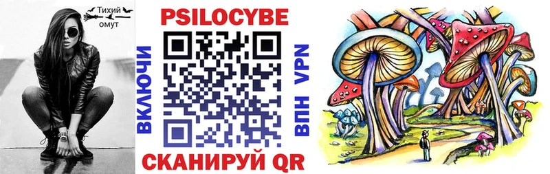 где продают наркотики  Боровичи  Галлюциногенные грибы Psilocybe 